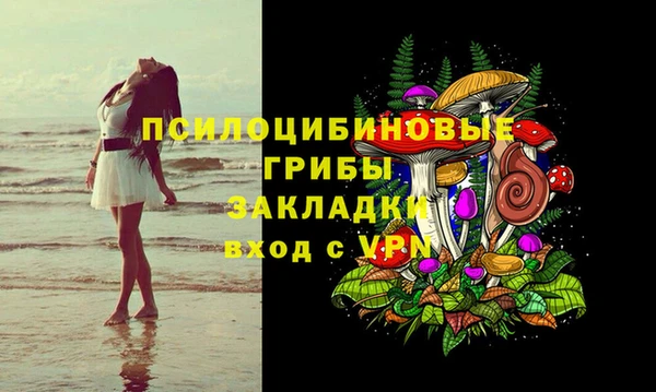mdma Няндома