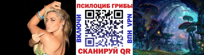 Псилоцибиновые грибы ЛСД  Олонец 